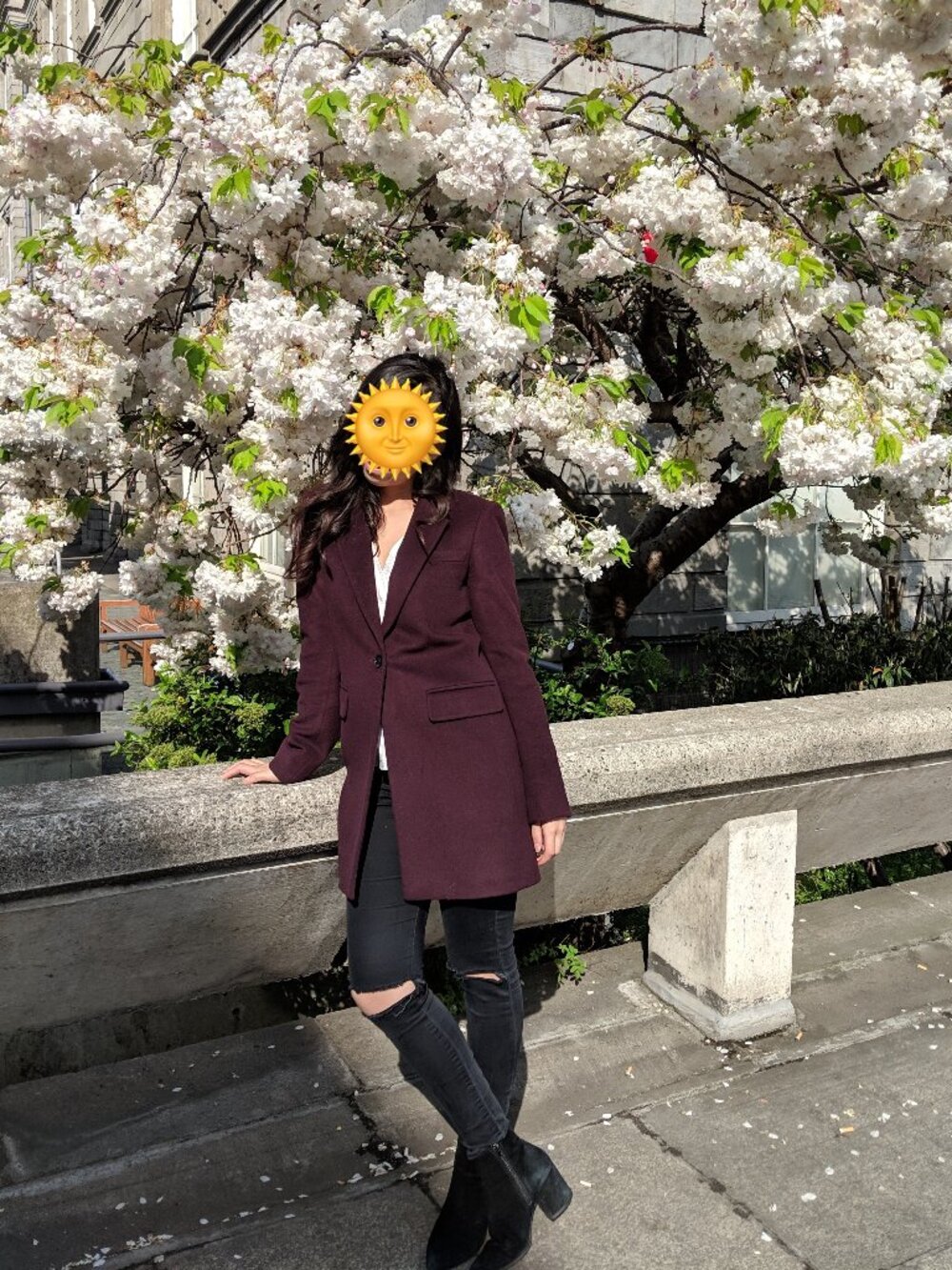 Hobbs Burgundy Wool Coat